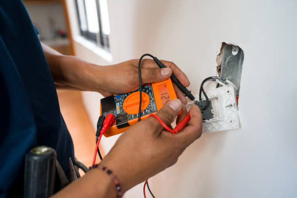 Best Electric Panel Repair  in Lacoochee, FL