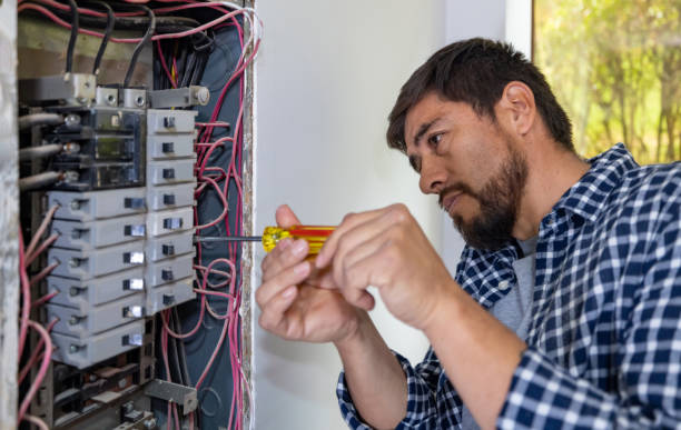Best Electrical Troubleshooting Services  in Lacoochee, FL